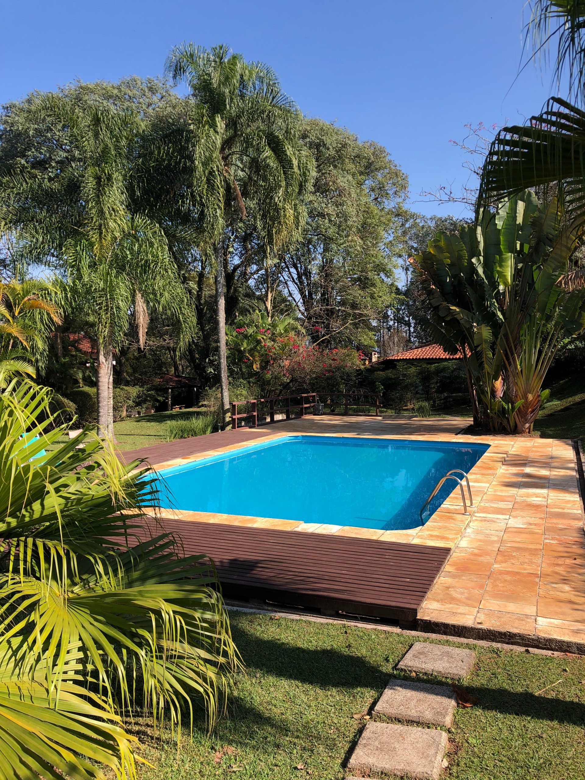 pool cleaning bedfordview